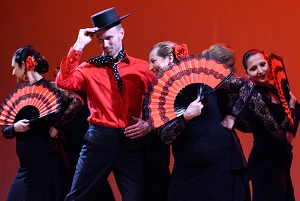 fiesta flamenca alegria