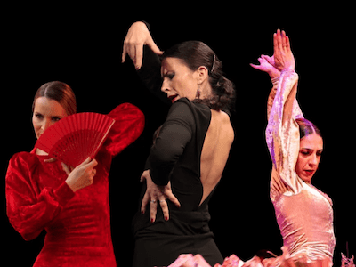 Flamencas Flamenco Encuentros