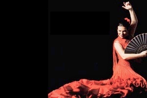flamenco-attributen-jacky-westerhoff