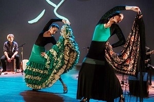 la-fabrica-expeditie-flamenco