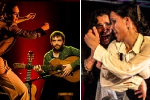 Myrddin en gasten flamenco myrddin gasten