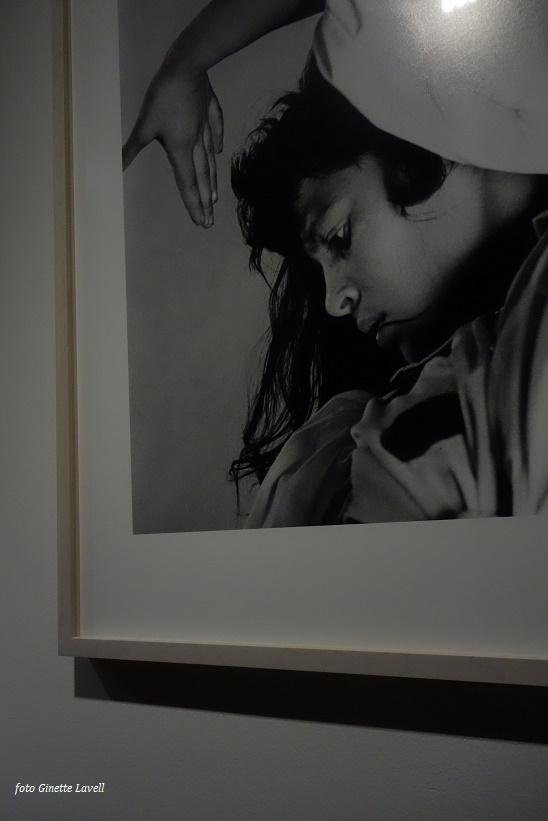 Opening Dancing Light met Hollands Laken foto Ginette Lavell 015