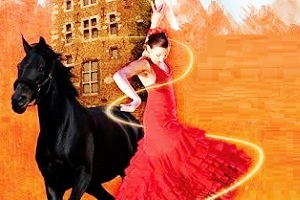 Oupeye flamenco