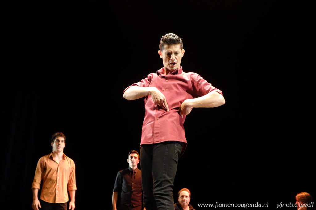 bienal-flamenco16-inmanencia-foto-ginette-lavell-11