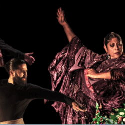 Flamenco Biennale openings gala