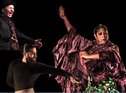 Flamenco Biennale openings gala