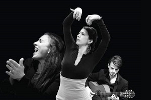 jessica erminia thijs flamenco